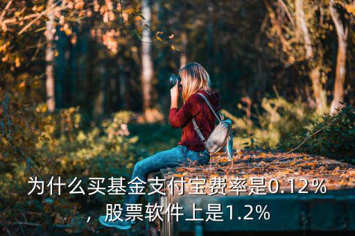 基金費率是什么意思,股票軟件上是1.2%