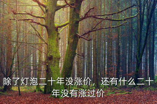 除了燈泡二十年沒漲價，還有什么二十年沒有漲過價
