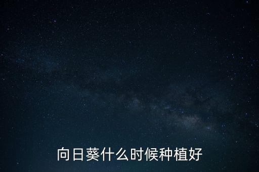 向日葵什么時候種植好