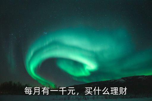 每月有一千元，買(mǎi)什么理財(cái)