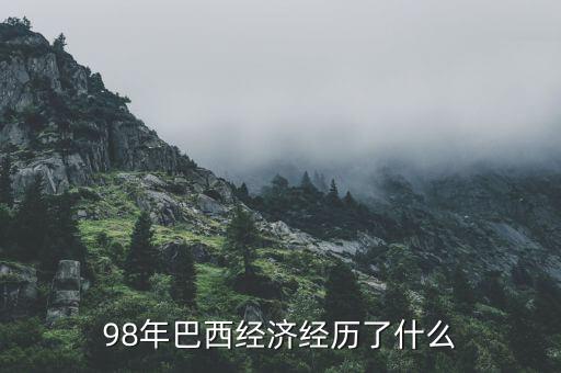 98年巴西經(jīng)濟經(jīng)歷了什么