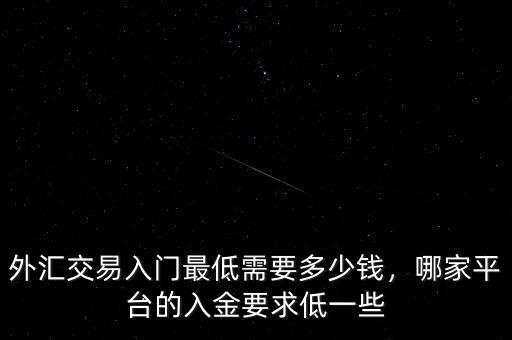 外匯交易入門最低需要多少錢，哪家平臺的入金要求低一些