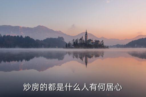 炒房的都是什么人有何居心