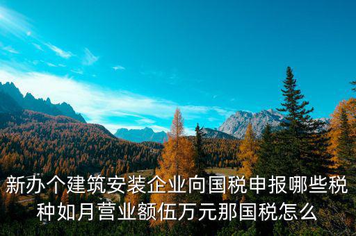 新辦個建筑安裝企業(yè)向國稅申報哪些稅種如月營業(yè)額伍萬元那國稅怎么