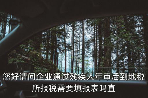 您好請(qǐng)問企業(yè)通過殘疾人年審后到地稅所報(bào)稅需要填報(bào)表嗎直