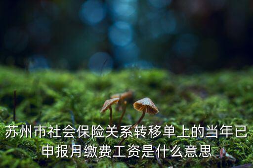 社保已申報是什么意思，新手求助請問網(wǎng)上申報是什么意思