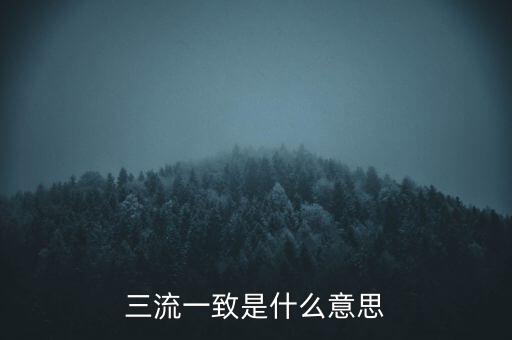 發(fā)票 流向一致是什么意思，發(fā)票四流一致是哪四流