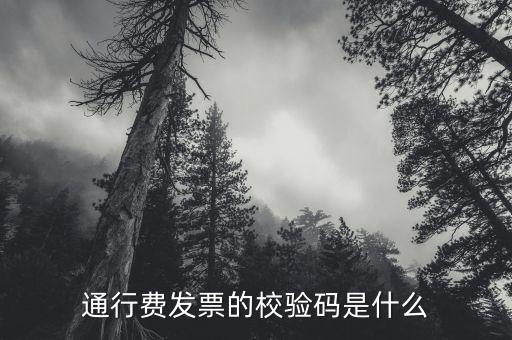 查驗(yàn)發(fā)票驗(yàn)證碼是什么，通行費(fèi)發(fā)票的校驗(yàn)碼是什么