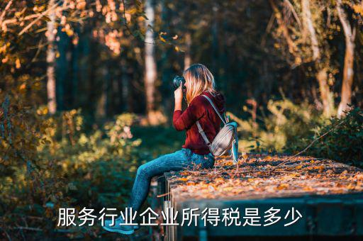 什么是接受服務(wù)企業(yè)所得稅，服務(wù)行業(yè)企業(yè)所得稅是多少