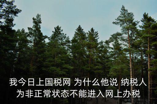 我今日上國(guó)稅網(wǎng) 為什么他說 納稅人為非正常狀態(tài)不能進(jìn)入網(wǎng)上辦稅