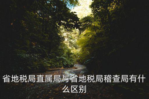 什么是地稅直屬局，國家稅務(wù)局直屬稅務(wù)分局是什么意思