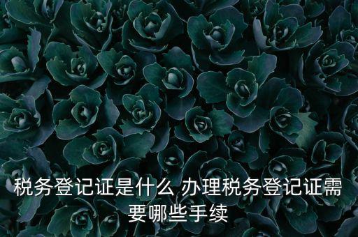 地稅局登記是什么，地稅辦理稅務登記需要哪些資料