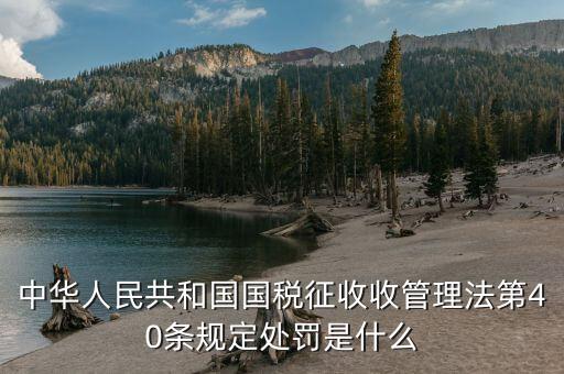 中華人民共和國(guó)國(guó)稅征收收管理法第40條規(guī)定處罰是什么