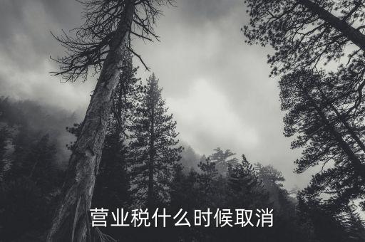 營業(yè)稅什么時候取消