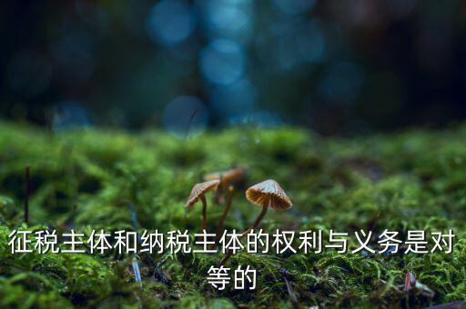 征稅主體和納稅主體的權(quán)利與義務是對等的