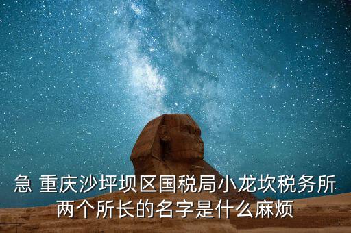 稅務所所長什么級別，地稅局基層稅務所屬什么層級