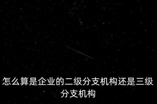 什么叫企業(yè)二級分支機(jī)構(gòu)，現(xiàn)在分公司要辦稅務(wù)登記證但是我想問一下二級分機(jī)構(gòu)指的是