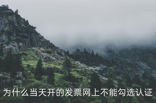 為什么當(dāng)天開的發(fā)票網(wǎng)上不能勾選認證