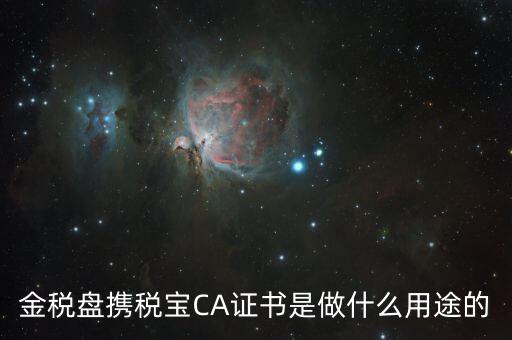 稅友的ca是什么，什么是稅務(wù)局的CA證書