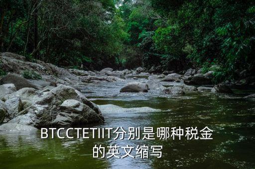 bt 是什么稅，BTCCTETIIT分別是哪種稅金的英文縮寫(xiě)