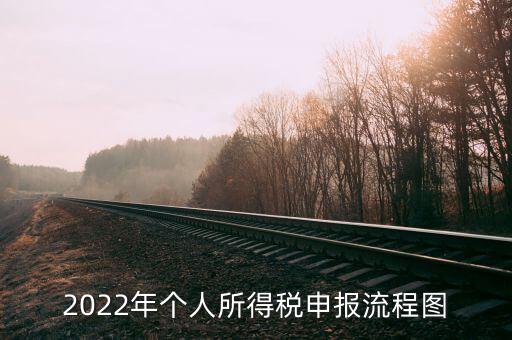 2022年個人所得稅申報流程圖