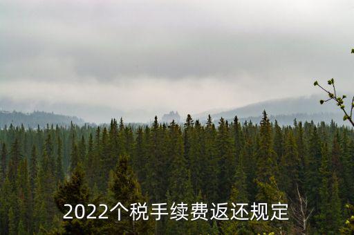 個稅返手續(xù)費什么時間，退個稅手續(xù)費2022年新規(guī)定