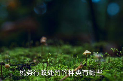 涉稅行政處罰包括什么，什么叫稅務(wù)行政處罰當(dāng)事人