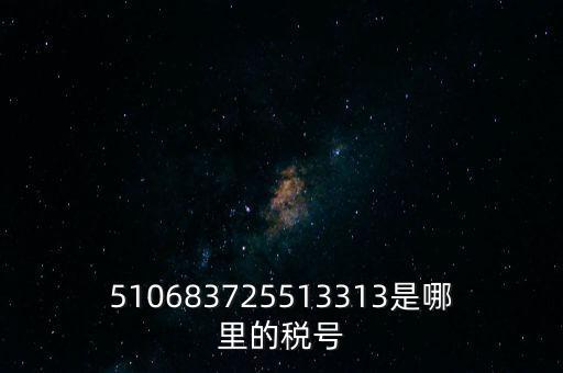 陜西省地方的稅號開頭是什么，510683725513313是哪里的稅號