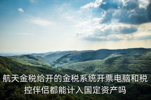 金稅為什么給中軟做，航天金稅給開的金稅系統(tǒng)開票電腦和稅控伴侶都能計入國定資產(chǎn)嗎