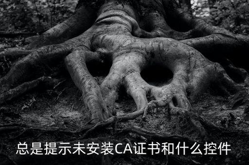 ca控件是什么意思，您是地稅CA用戶但未安裝企業(yè)CA控件為不影響申報(bào)功能正常使用請(qǐng)點(diǎn)