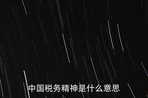 中國稅務精神是什么意思