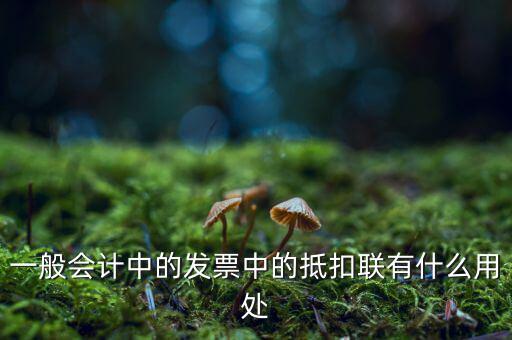 抵扣聯(lián)有什么用，一般會(huì)計(jì)中的發(fā)票中的抵扣聯(lián)有什么用處