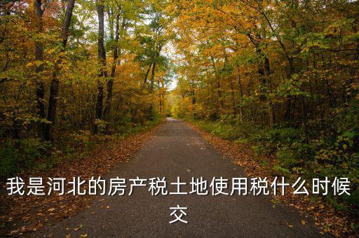 河北地稅申報(bào)后什么時(shí)候繳費(fèi)，我是河北的房產(chǎn)稅土地使用稅什么時(shí)候交