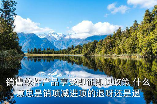 銷售軟件產品享受即征即退政策 什么意思是銷項減進項的退呀還是退