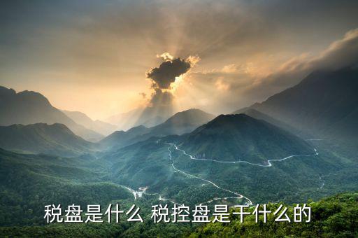億企贏稅盤是什么，稅盤是什么 稅控盤是干什么的