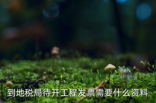 到地稅局待開(kāi)工程發(fā)票需要什么資料