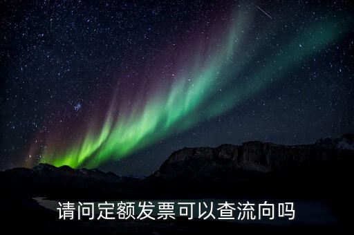 請問定額發(fā)票可以查流向嗎