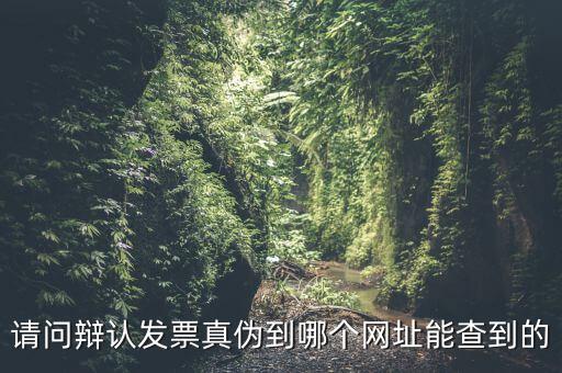 請(qǐng)問辯認(rèn)發(fā)票真?zhèn)蔚侥膫€(gè)網(wǎng)址能查到的