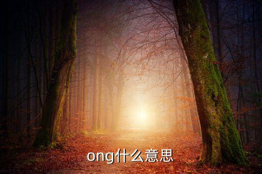 發(fā)票ong什么意思，ong什么意思