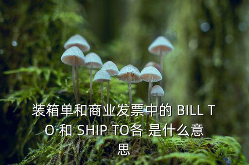 裝箱單和商業(yè)發(fā)票中的 BILL TO 和 SHIP TO各 是什么意思