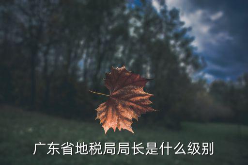 廣東省地稅局局長(zhǎng)是什么級(jí)別