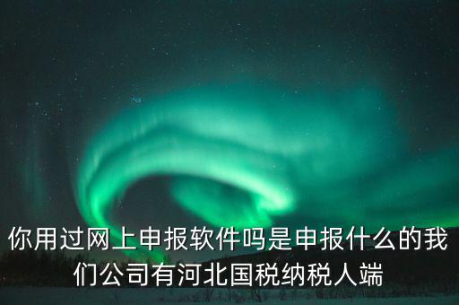 企業(yè)申報(bào)客戶端是什么，你用過(guò)網(wǎng)上申報(bào)軟件嗎是申報(bào)什么的我們公司有河北國(guó)稅納稅人端