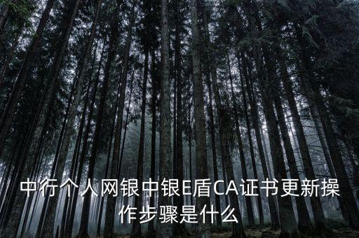 升級ca需要什么，CA證書怎么從副盤升級成正盤