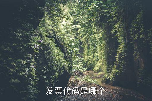 發(fā)票代碼是哪個(gè)