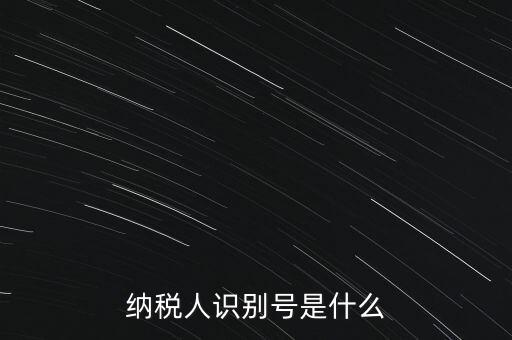 山西國稅納稅人識別號是什么，納稅人識別號是什么