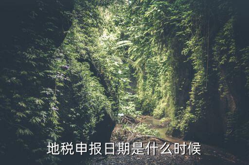 地稅清稅報告時間是什么原因，每月稅務(wù)申報時間什么時候