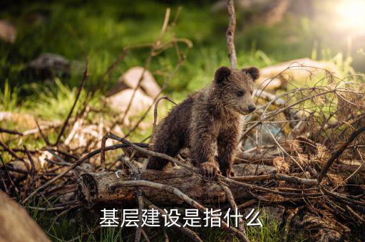 基層建設是指什么