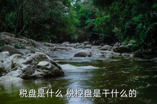 稅盤(pán)是什么 稅控盤(pán)是干什么的