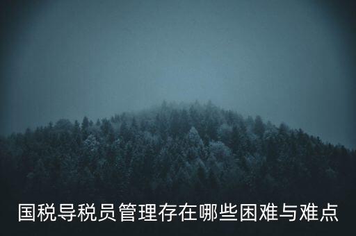 國稅導(dǎo)稅員管理存在哪些困難與難點(diǎn)