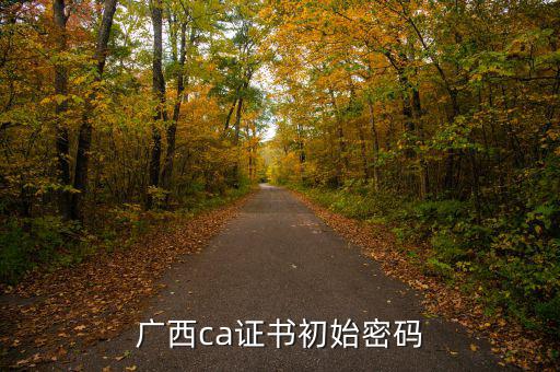 國說ca證書密碼是什么，ca證書密碼是什么